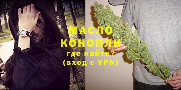 МДПВ Пересвет