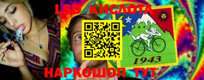 твердый Гусев