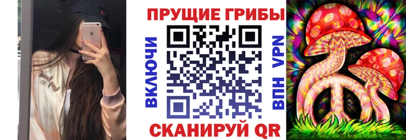 Галлюциногенные грибы Psilocybine cubensis  Россошь 