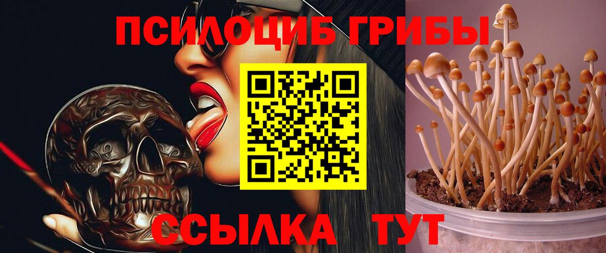 Галлюциногенные грибы прущие грибы Россошь