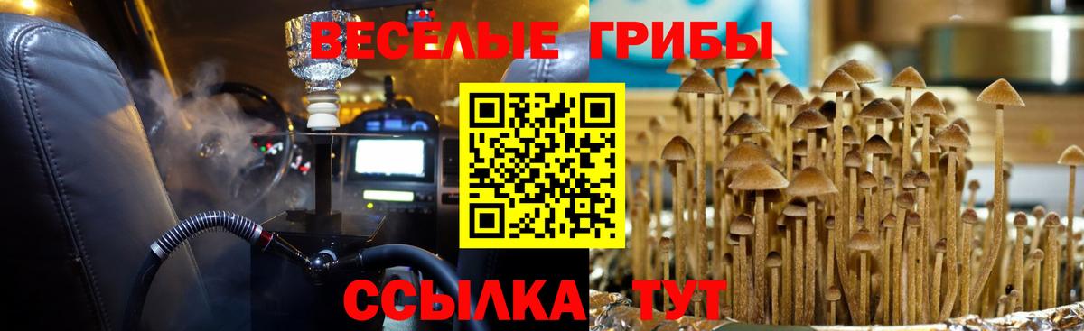 ГАШИШ  Вход с VPN  Купить наркоту  Alpha-PVP СОЛЬ кристаллы  Кокаин  Экстази  МАРИХУАНА  Россошь  Меф МЯУ МЯУ  